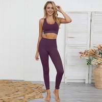 2 Pc. Yoga Sets Quick Dry Sport Suit Crop Top Shockproof Gym Bra Seamless Leggings