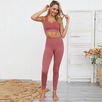 2 Pc. Yoga Sets Quick Dry Sport Suit Crop Top Shockproof Gym Bra Seamless Leggings