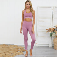 2 Pc. Yoga Sets Quick Dry Sport Suit Crop Top Shockproof Gym Bra Seamless Leggings